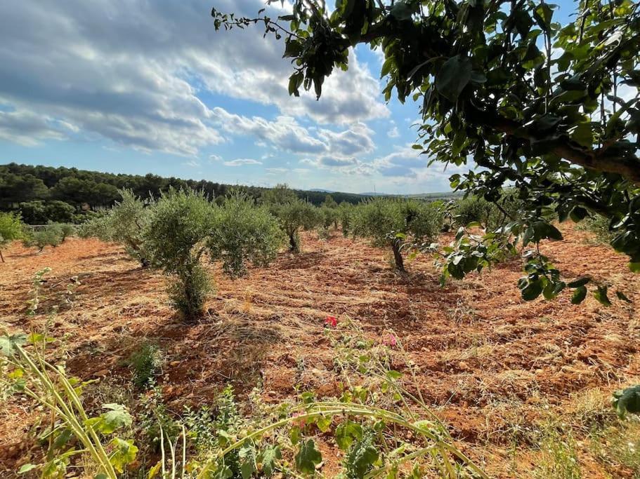 El-Cortijo Villa Siete Aguas Bagian luar foto